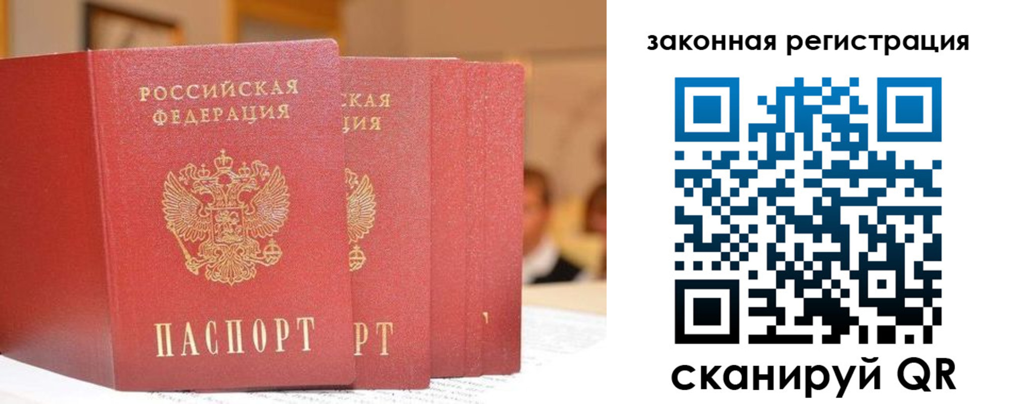 прописка поиск в Благовещенске